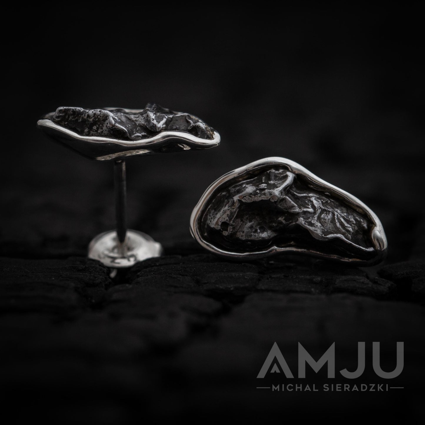 Sikhote Alin meteorite earrings