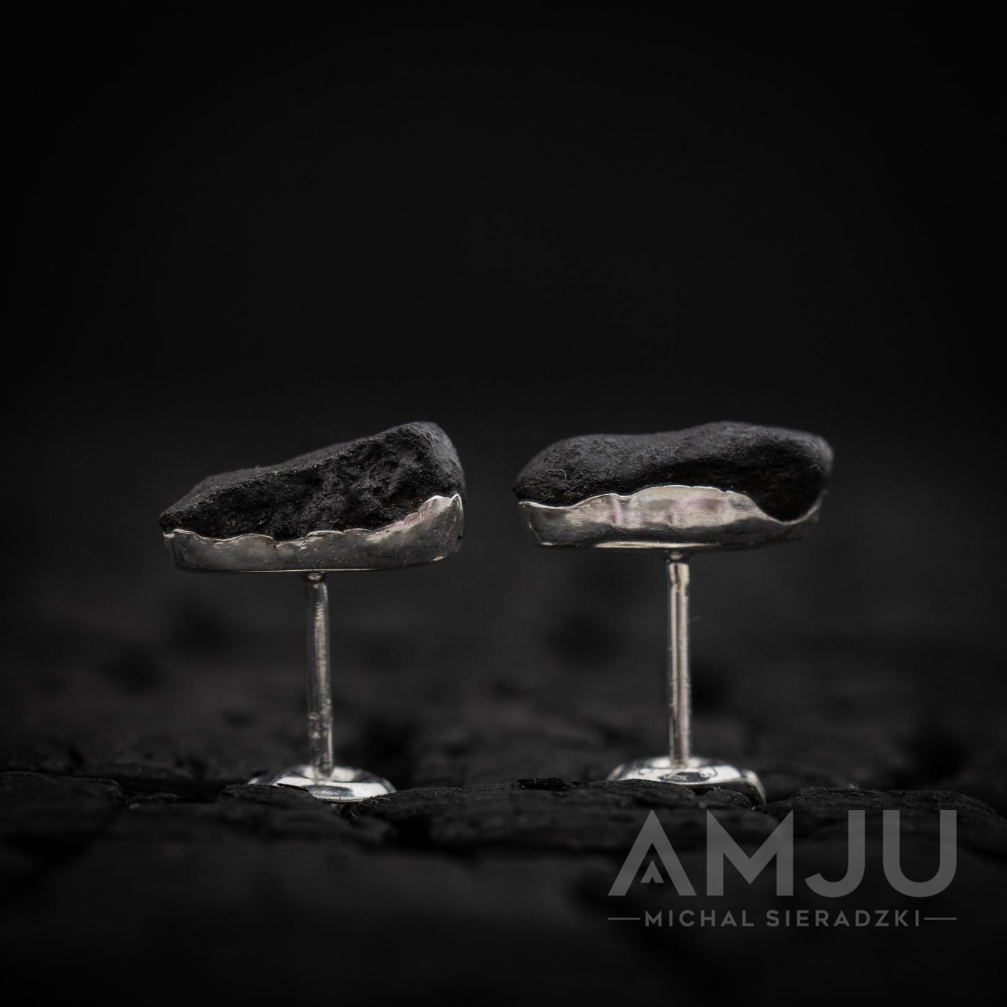 Chelyabinsk Meteorite earrings