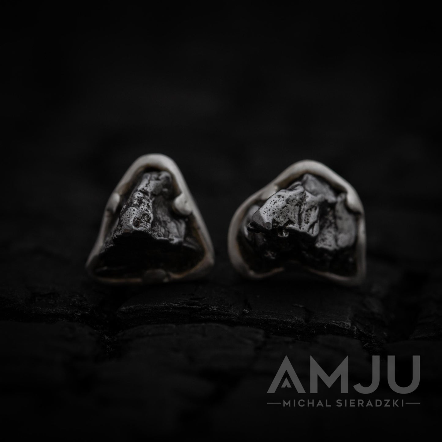 Mountains of Campo del Cielo Meteorite earrings