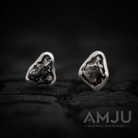 Campo del Cielo Meteorite earrings