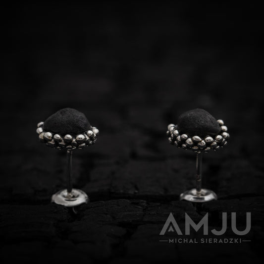 Chelyabinsk Meteorite earrings