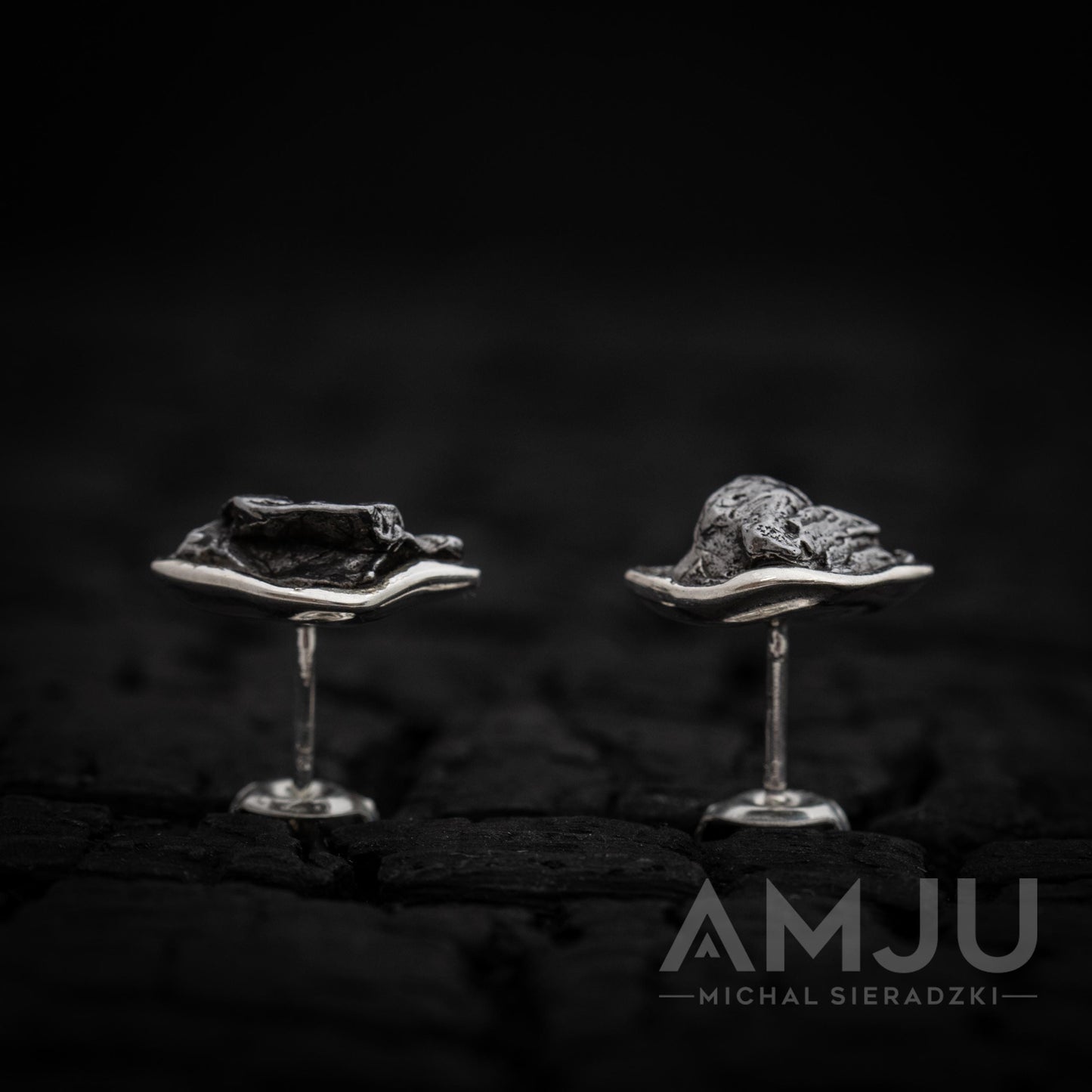 Campo del Cielo Meteorite earrings