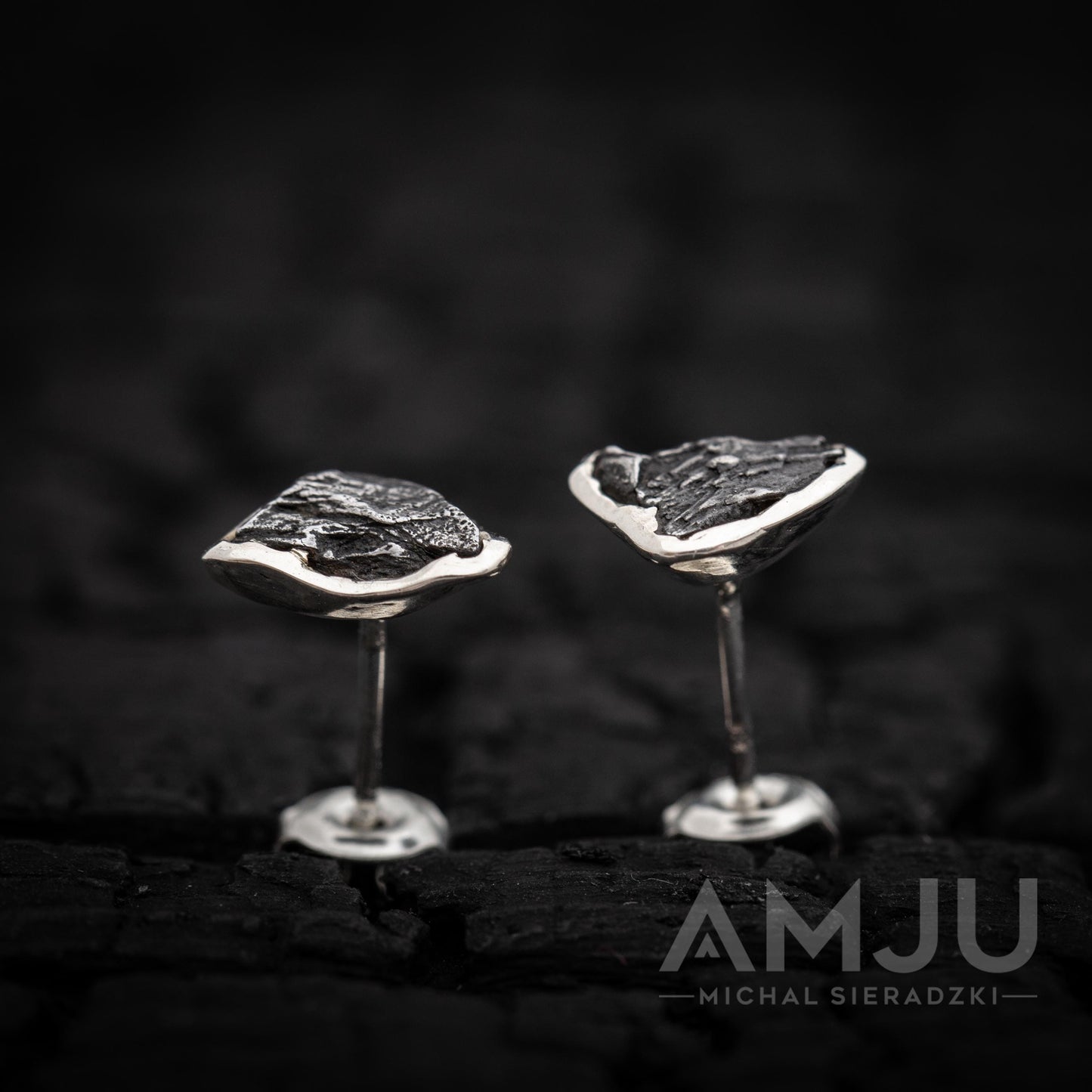 Campo del Cielo Meteorite earrings