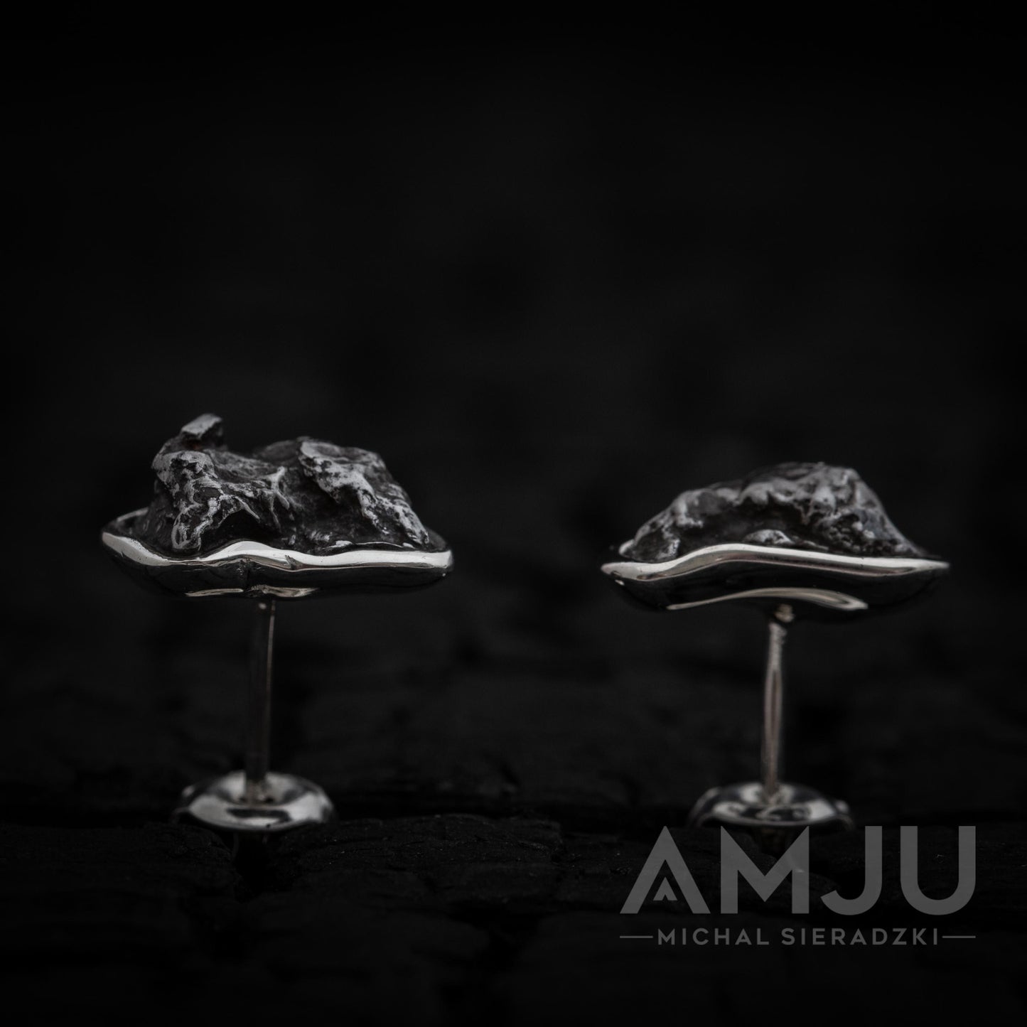 Sikhote Alin meteorite earrings