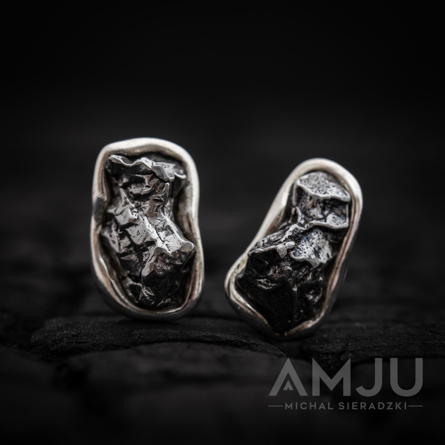 Campo del Cielo Meteorite earrings