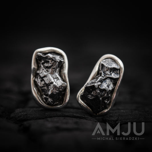 Campo del Cielo Meteorite earrings