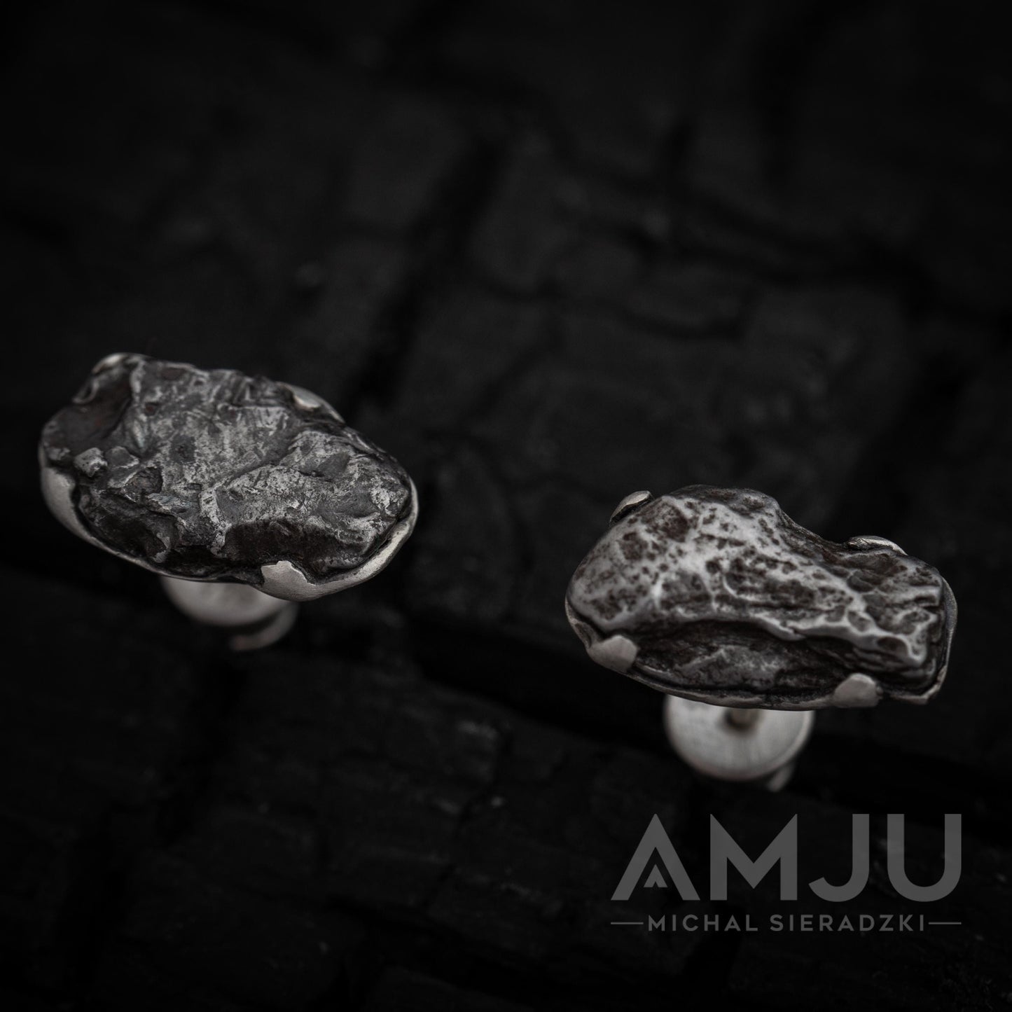 Sikhote Alin meteorite earrings