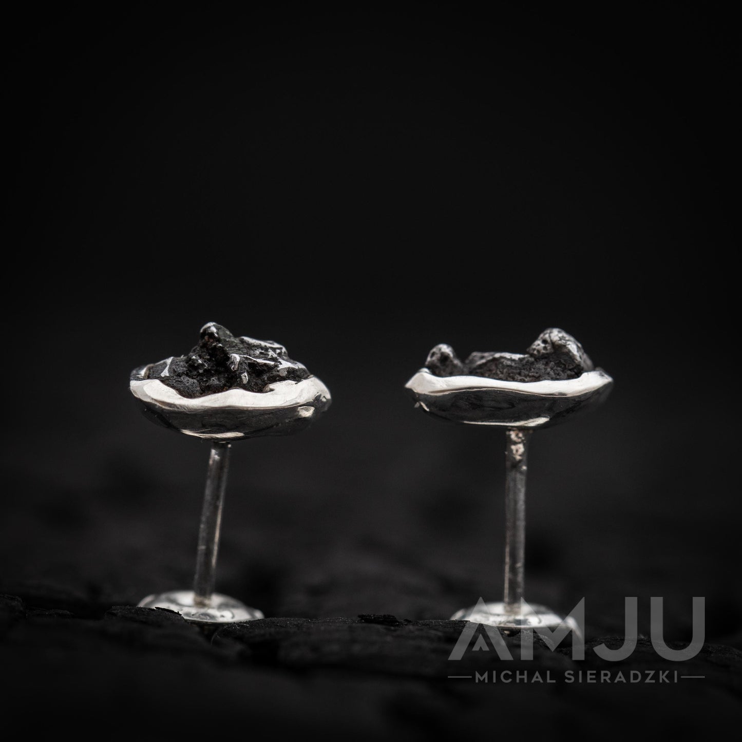 Sikhote Alin meteorite earrings