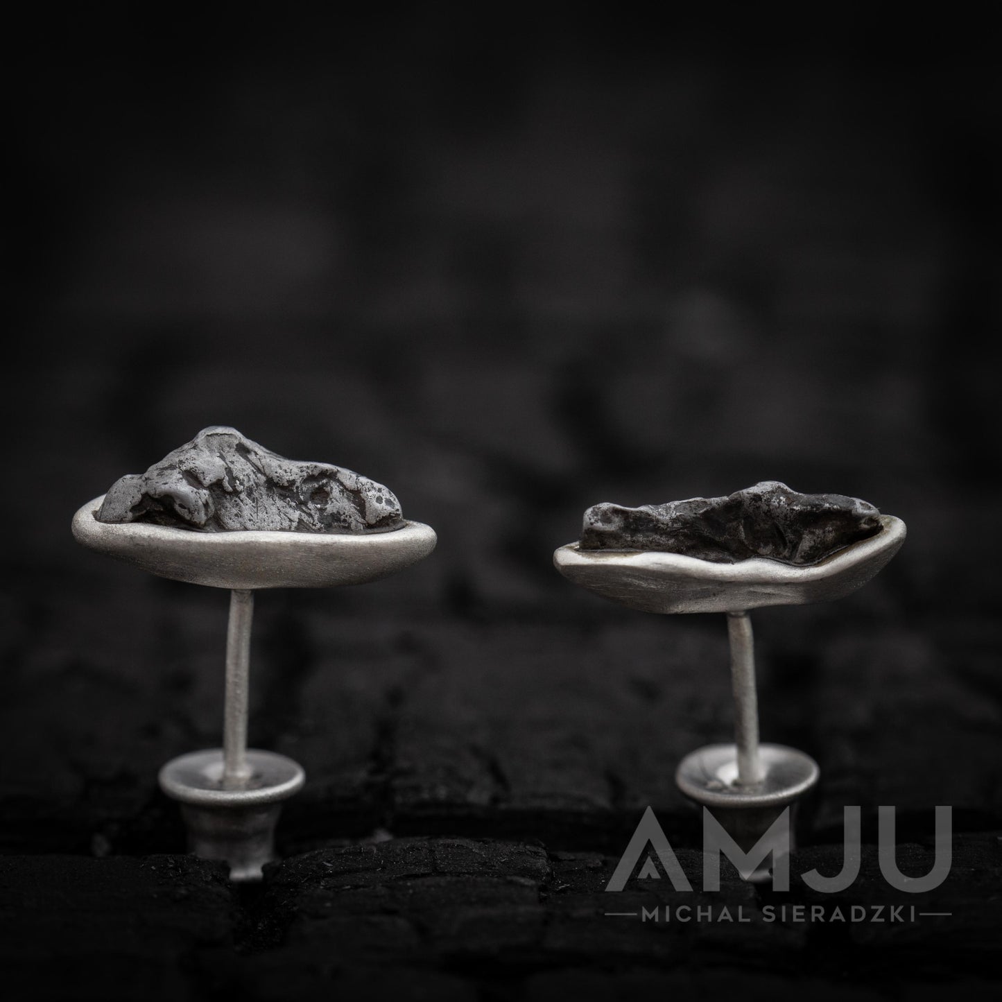 Sikhote Alin meteorite earrings