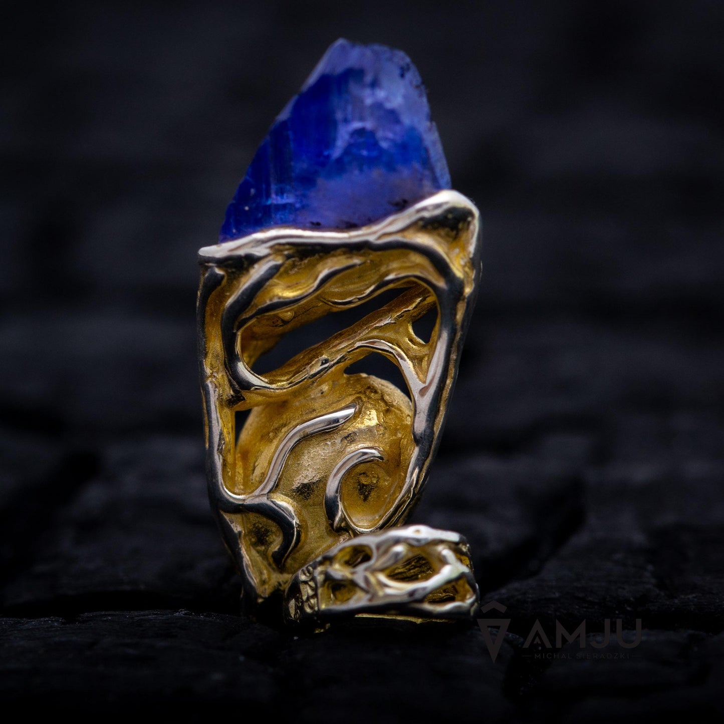 Raw Tanzanite crystal with Chelyabinsk Meteorite, pendant