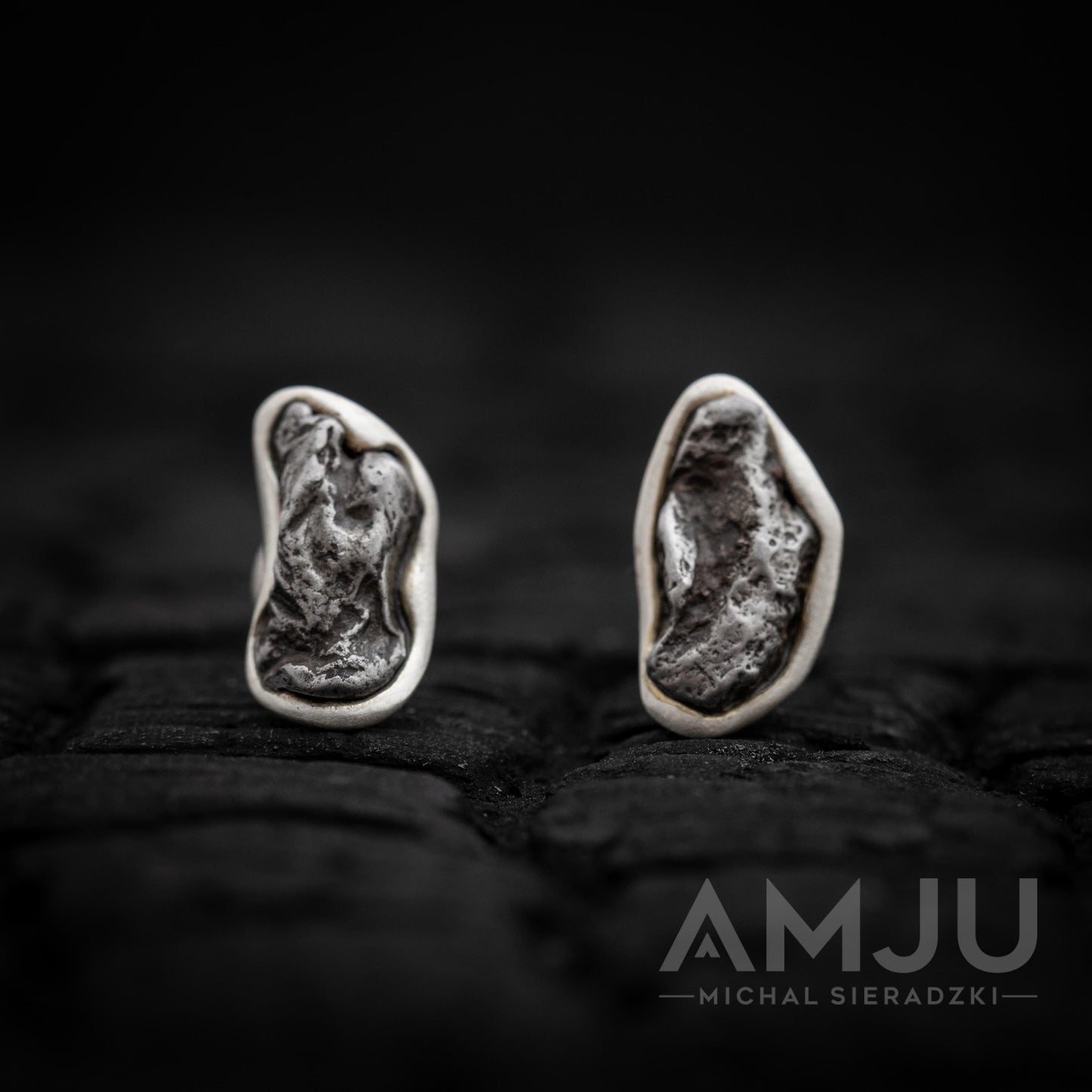 Sikhote Alin meteorite earrings