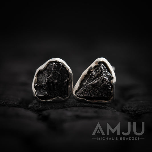 Campo del Cielo Meteorite earrings