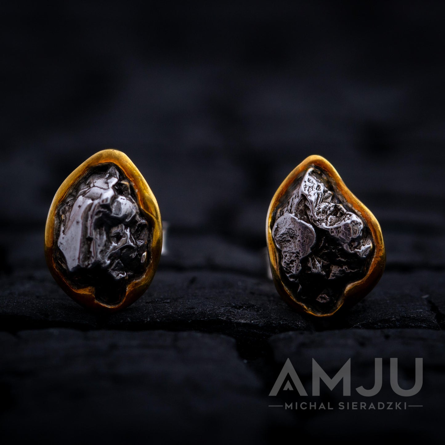 Campo del Cielo Meteorite earrings