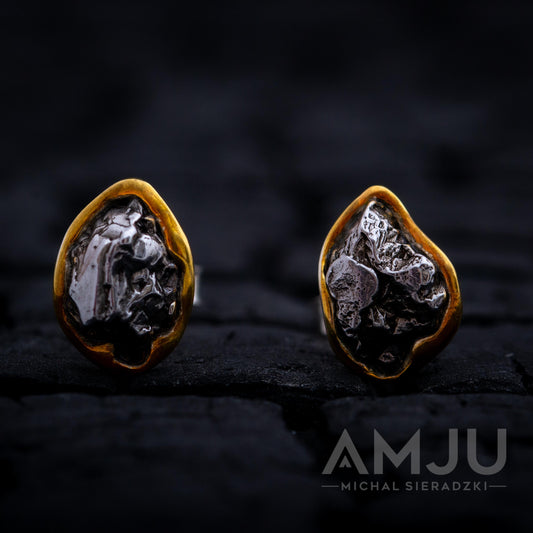 Campo del Cielo Meteorite earrings