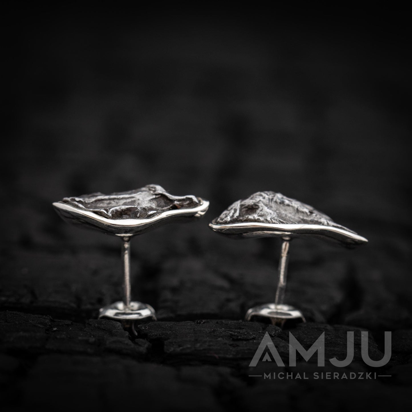 Sikhote Alin meteorite earrings