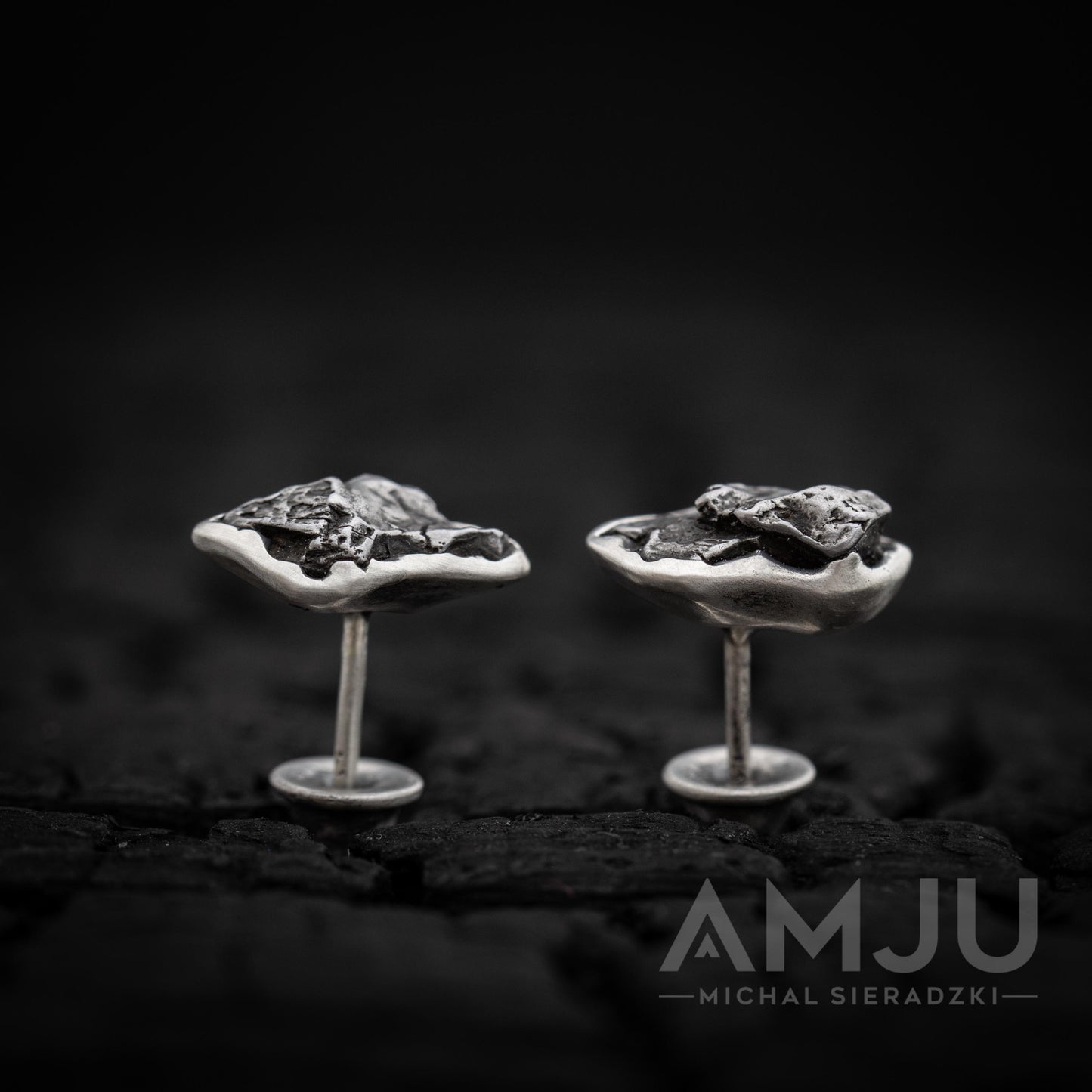 Campo del Cielo Meteorite earrings