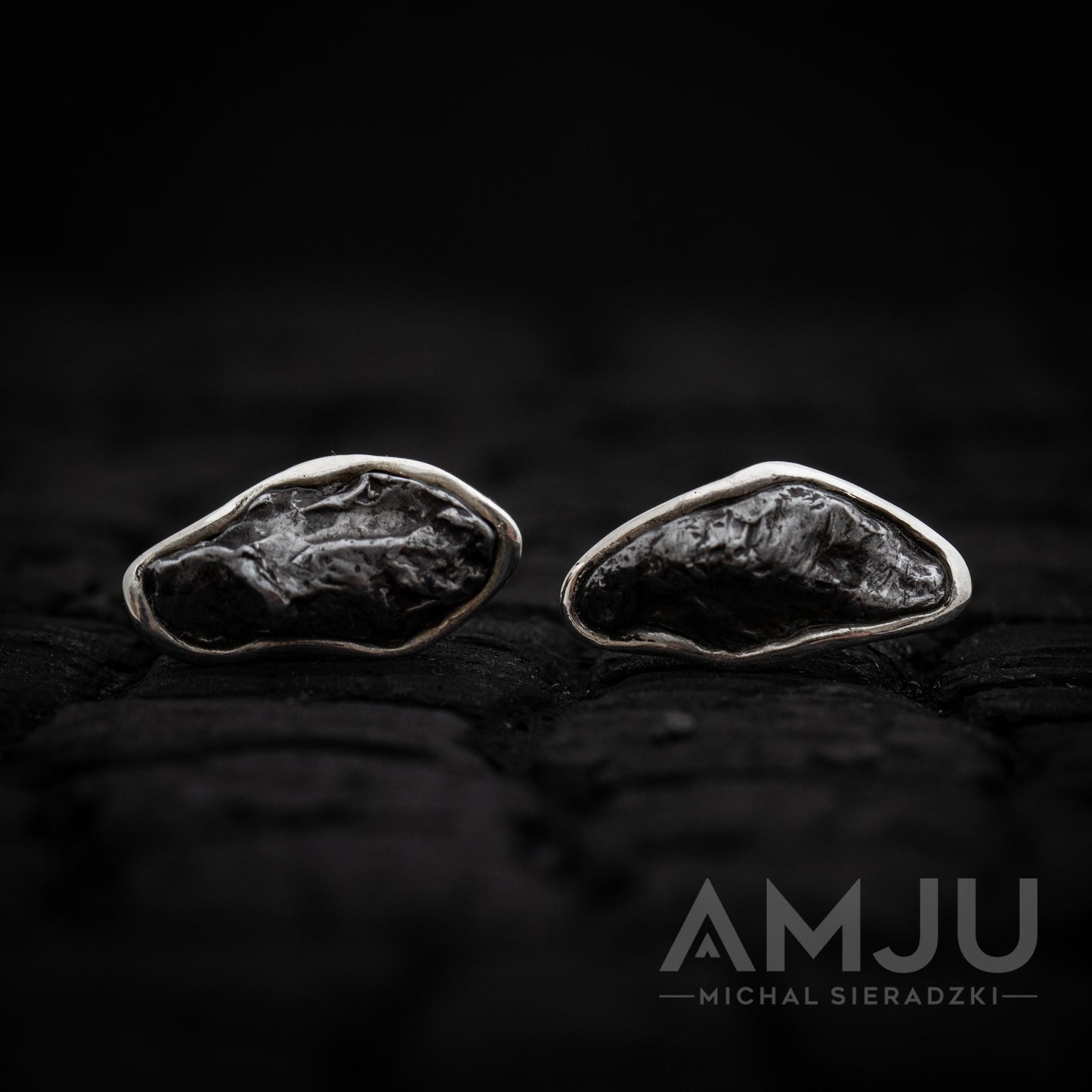Sikhote Alin meteorite earrings