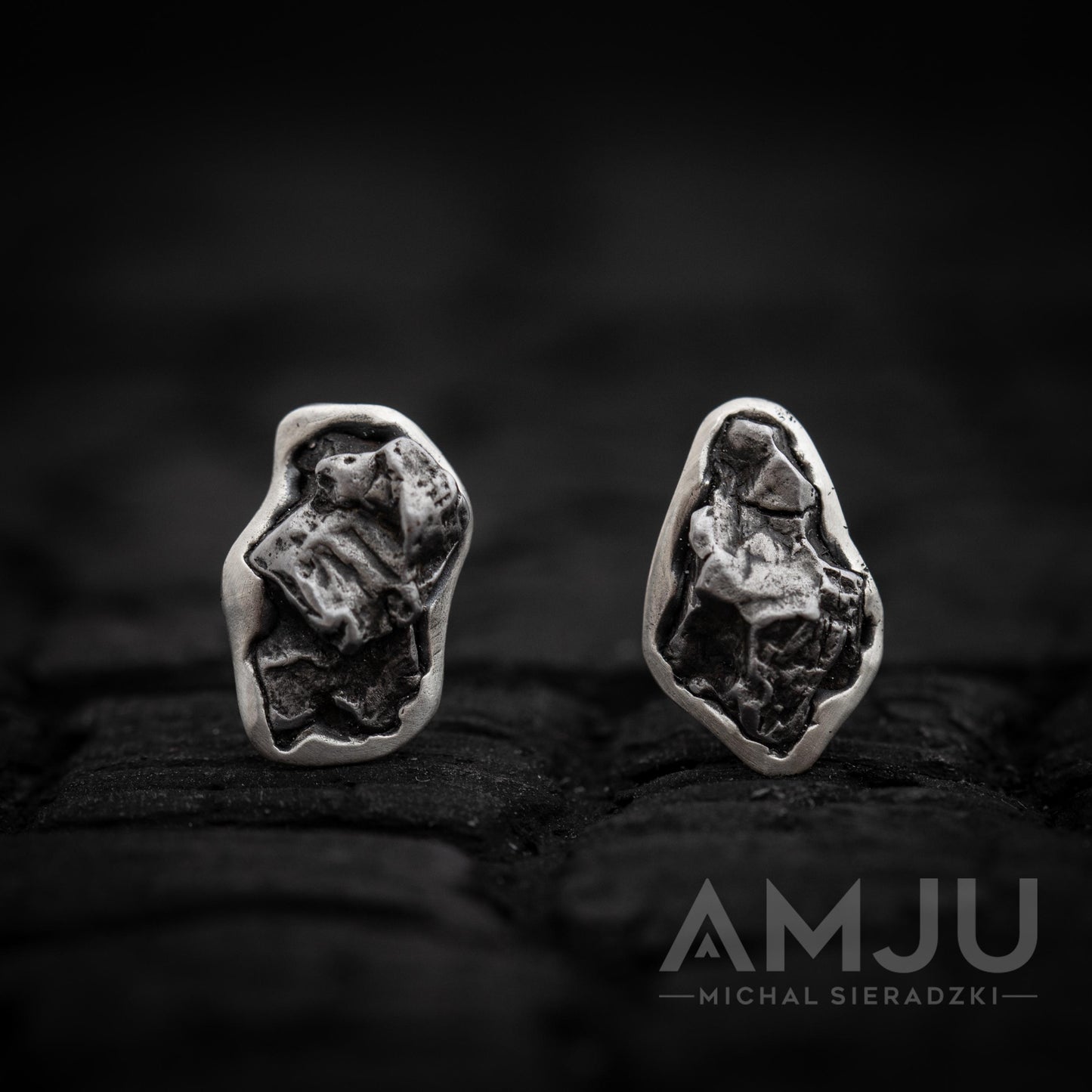 Campo del Cielo Meteorite earrings