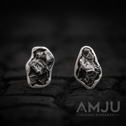 Campo del Cielo Meteorite earrings