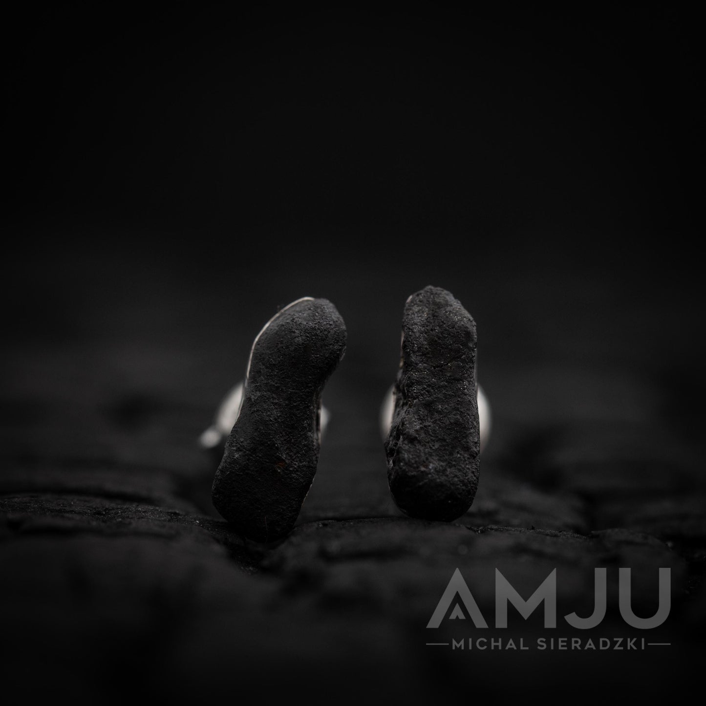 Chelyabinsk Meteorite earrings