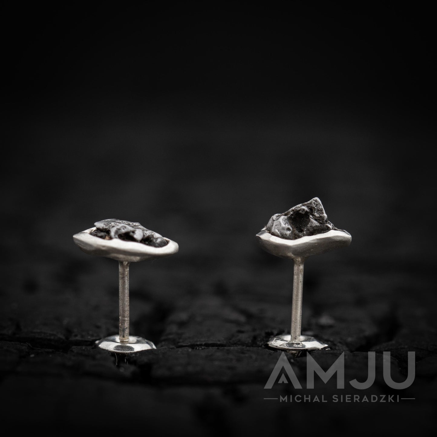 Campo del Cielo Meteorite earrings