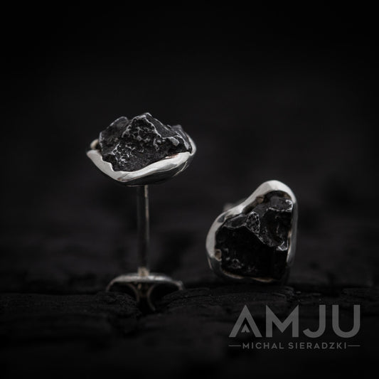 Campo del Cielo Meteorite earrings