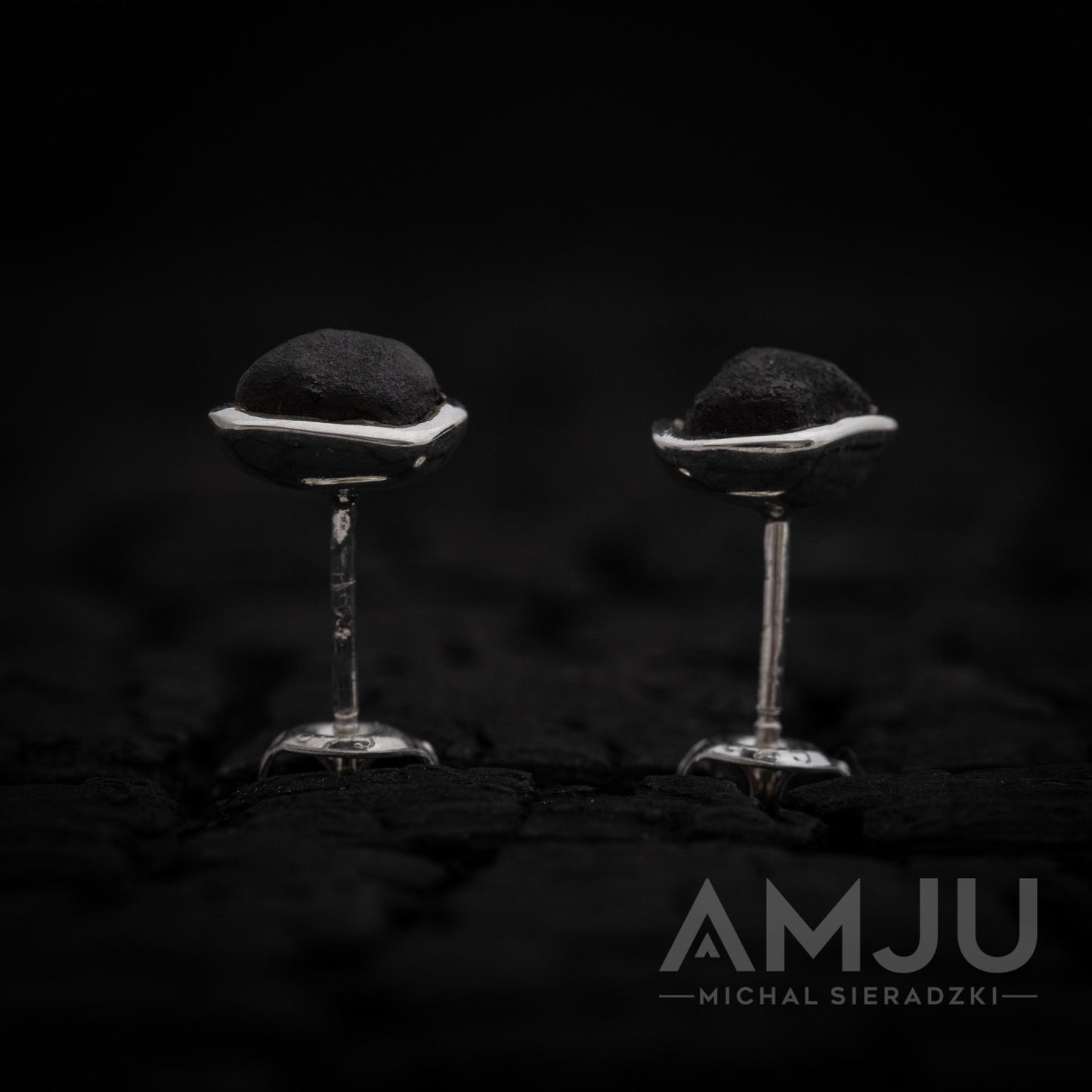 Chelyabinsk Meteorite earrings