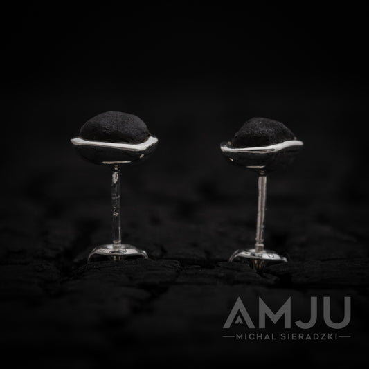 Chelyabinsk Meteorite earrings