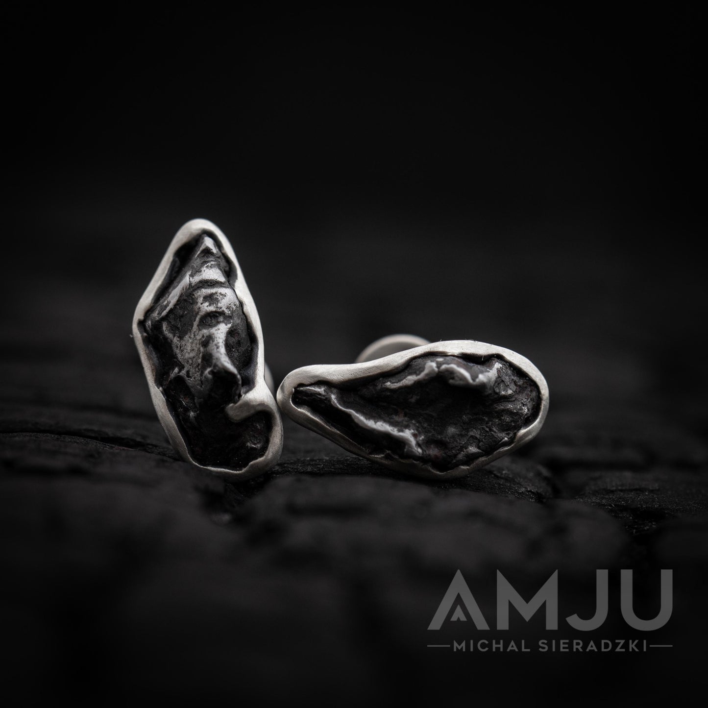 Sikhote Alin meteorite earrings