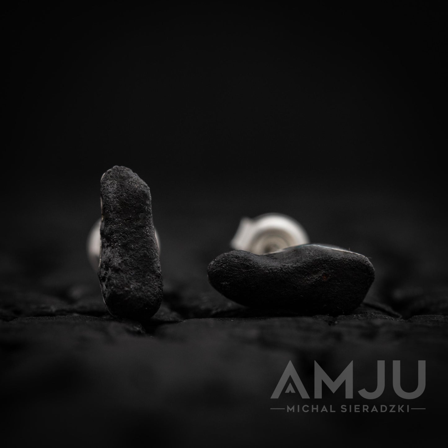 Chelyabinsk Meteorite earrings