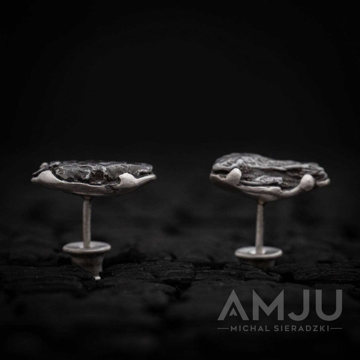 Sikhote Alin meteorite earrings