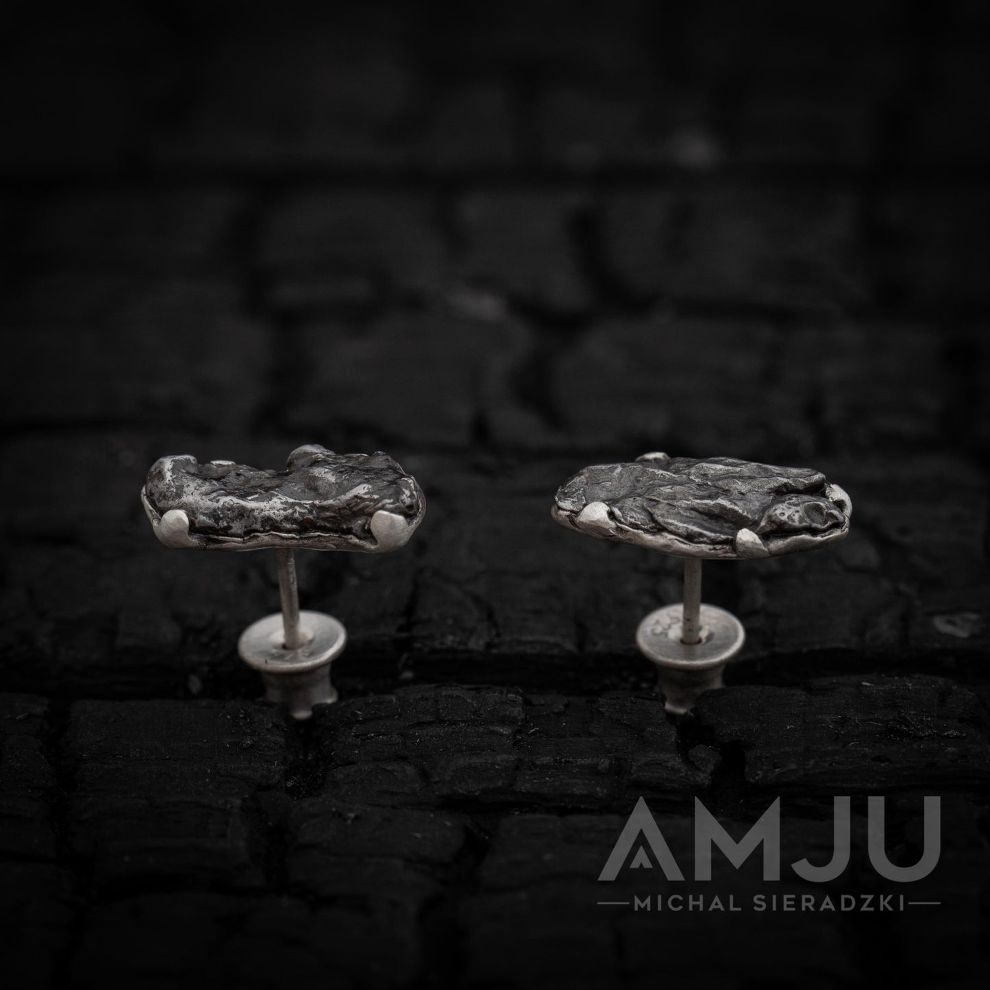 Sikhote Alin meteorite earrings