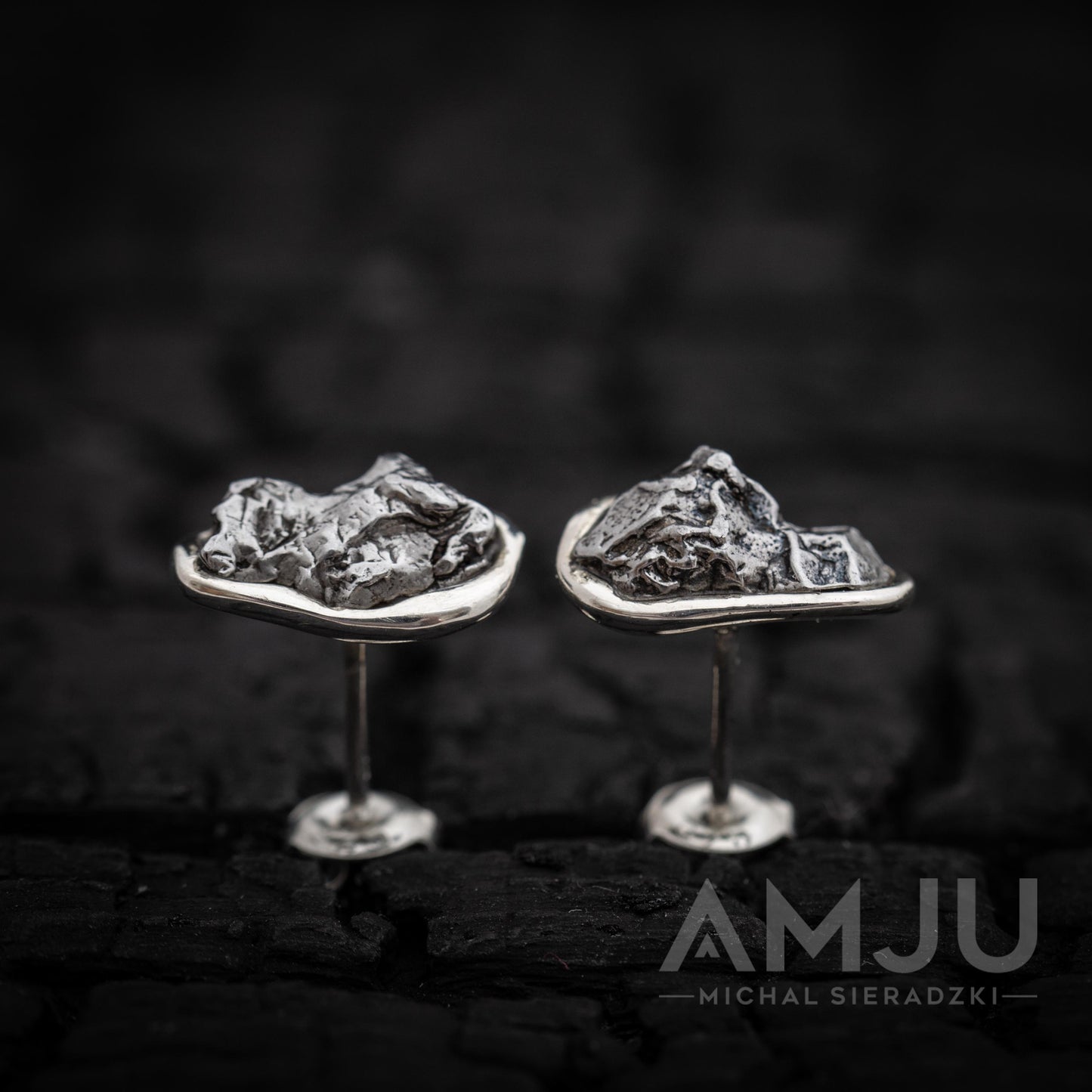 Campo del Cielo Meteorite earrings