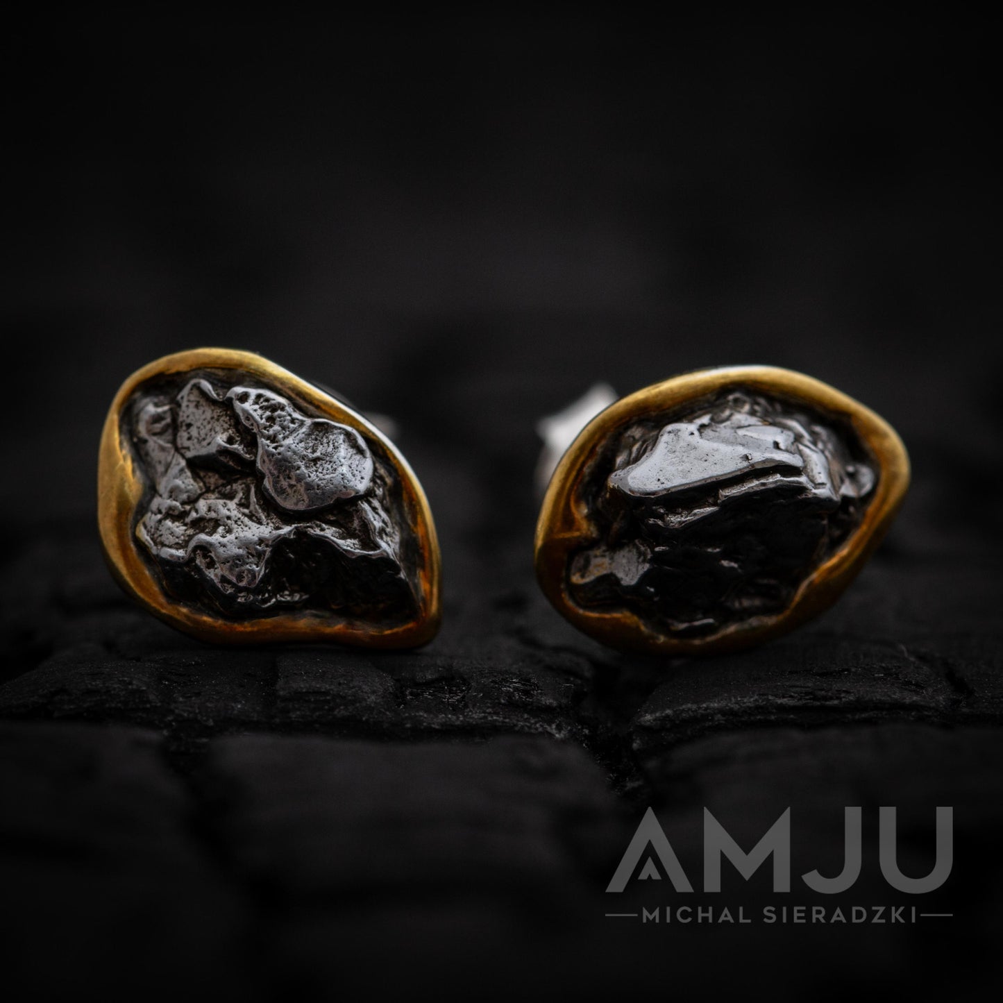 Campo del Cielo Meteorite earrings