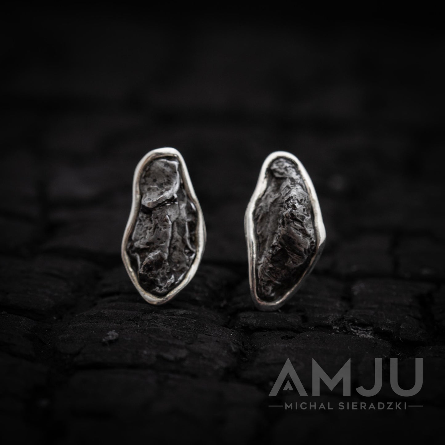Sikhote Alin meteorite earrings