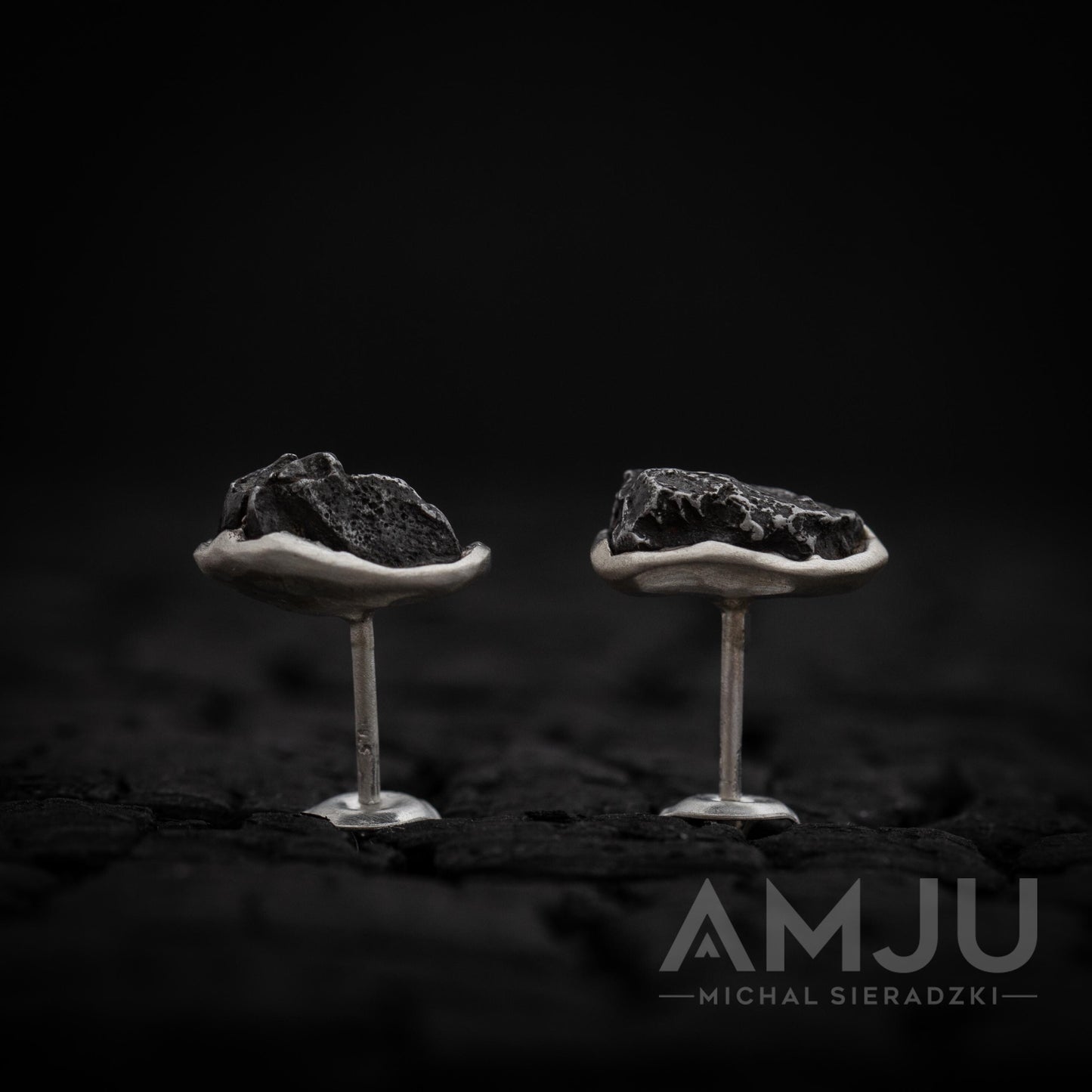 Sikhote Alin meteorite earrings