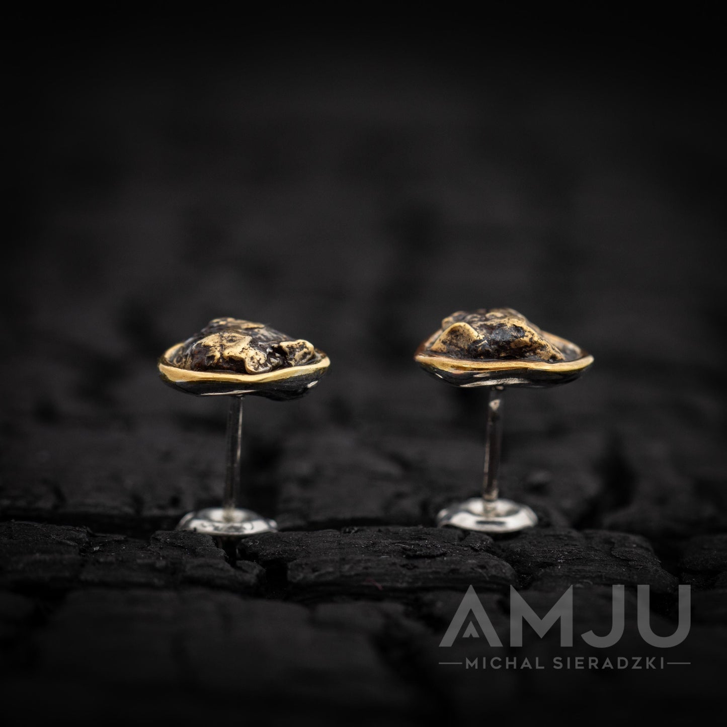 Sikhote Alin meteorite earrings