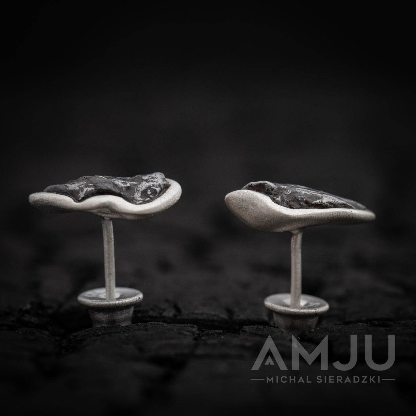 Sikhote Alin meteorite earrings