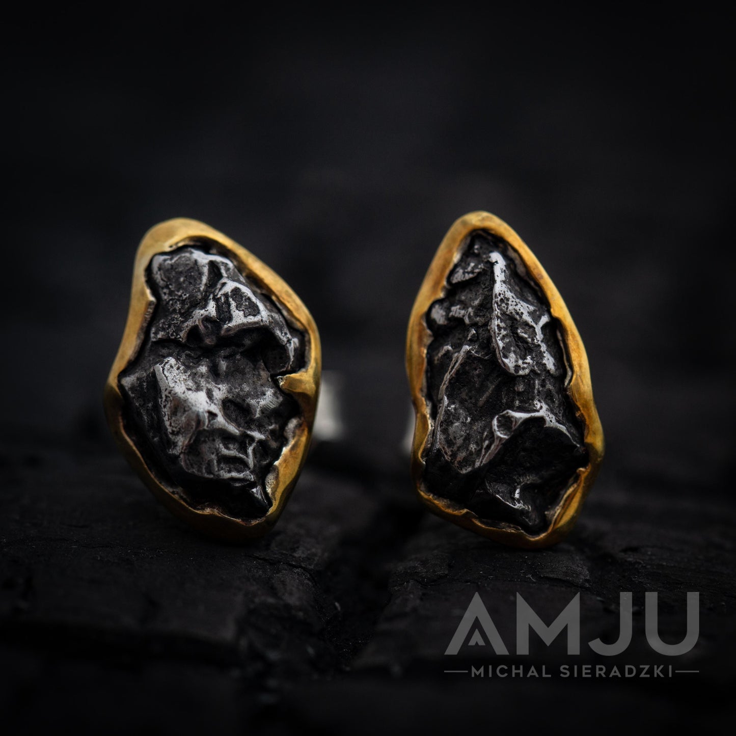 Sikhote Alin meteorite earrings