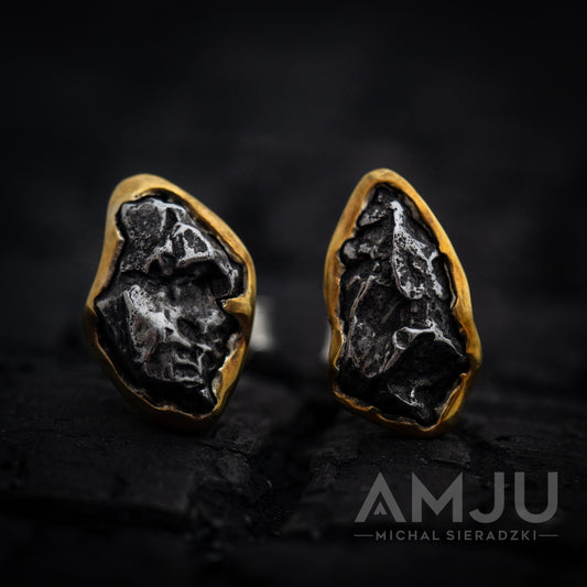 Sikhote Alin meteorite earrings