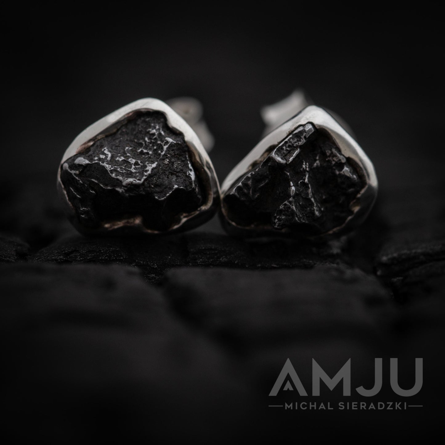 Campo del Cielo Meteorite earrings