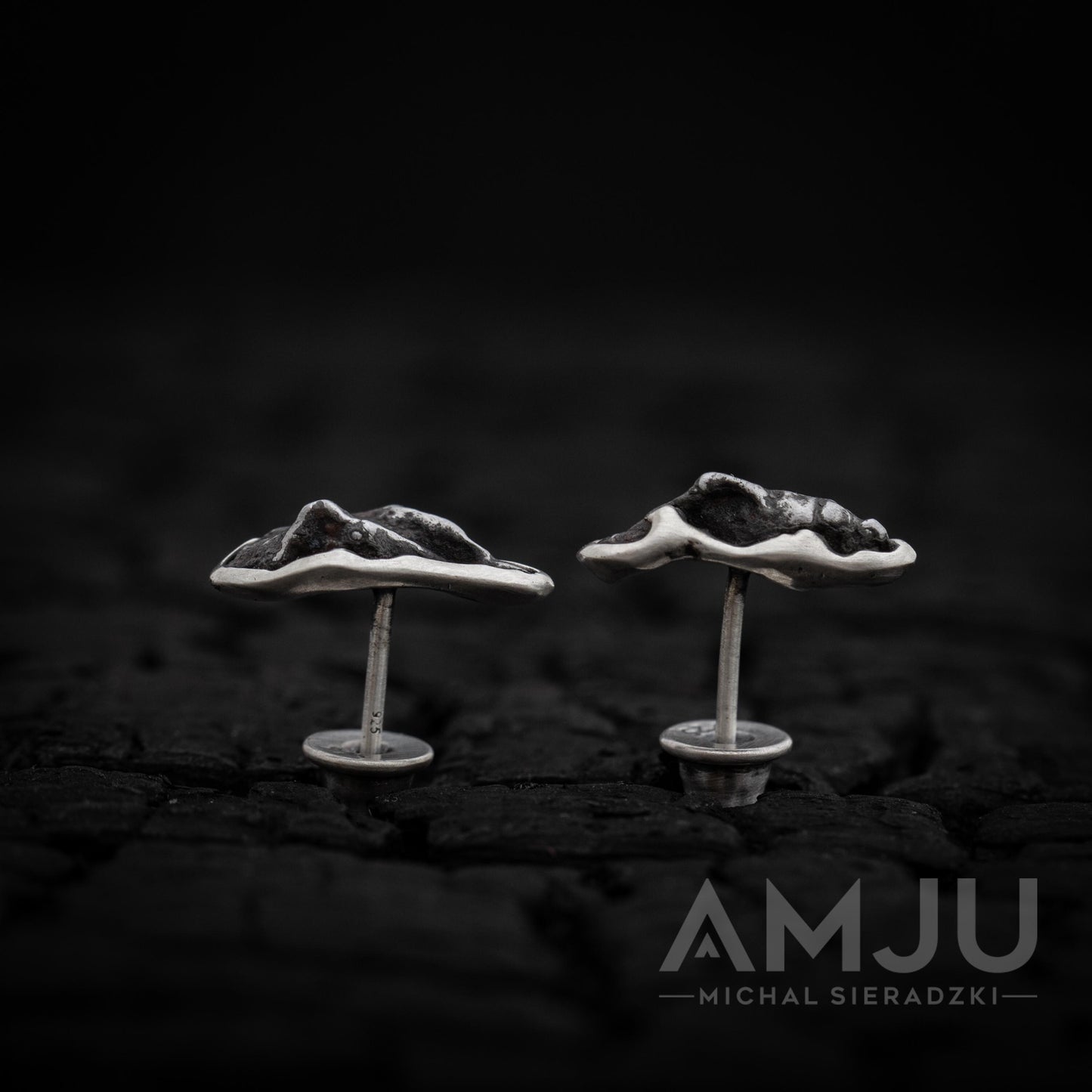 Sikhote Alin meteorite earrings