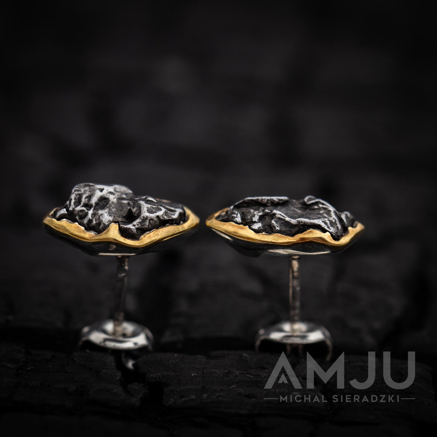 Sikhote Alin meteorite earrings