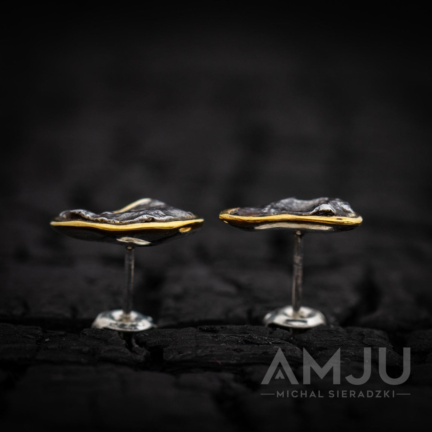 Sikhote Alin meteorite earrings