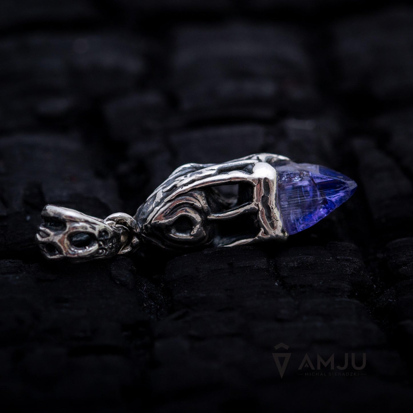 Raw Tanzanite crystal with Campo del Cielo meteorite, pendant