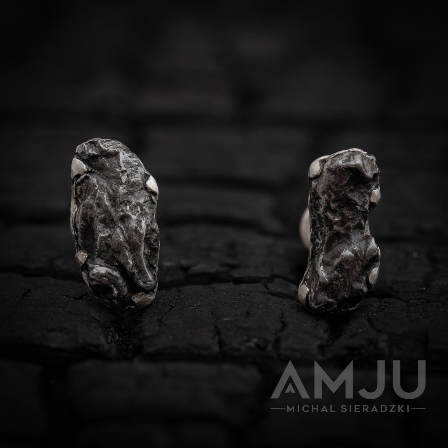 Sikhote Alin meteorite earrings