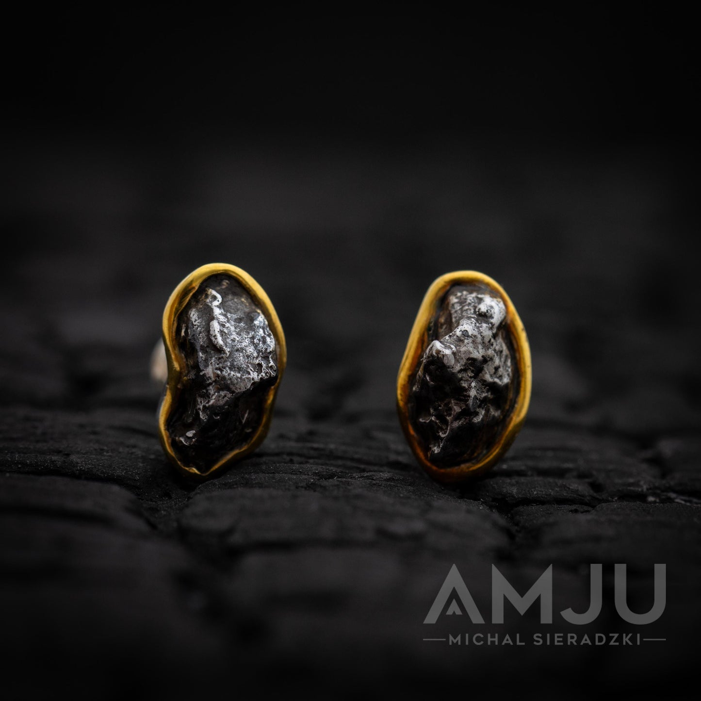 Sikhote Alin meteorite earrings