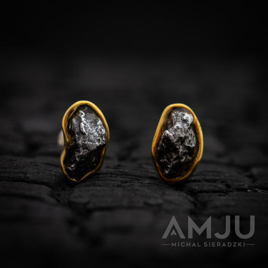 Sikhote Alin meteorite earrings