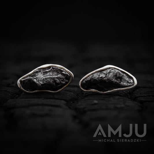Sikhote Alin meteorite earrings