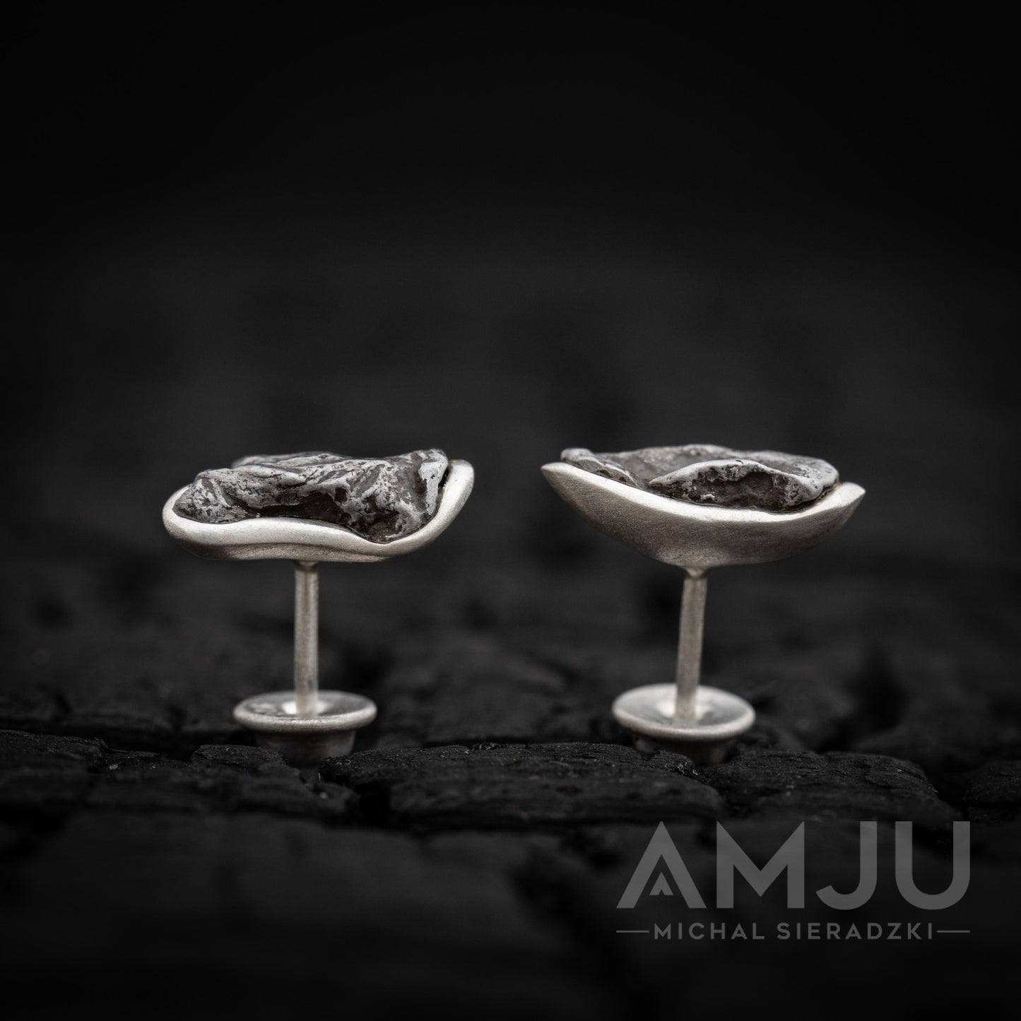 Sikhote Alin meteorite earrings
